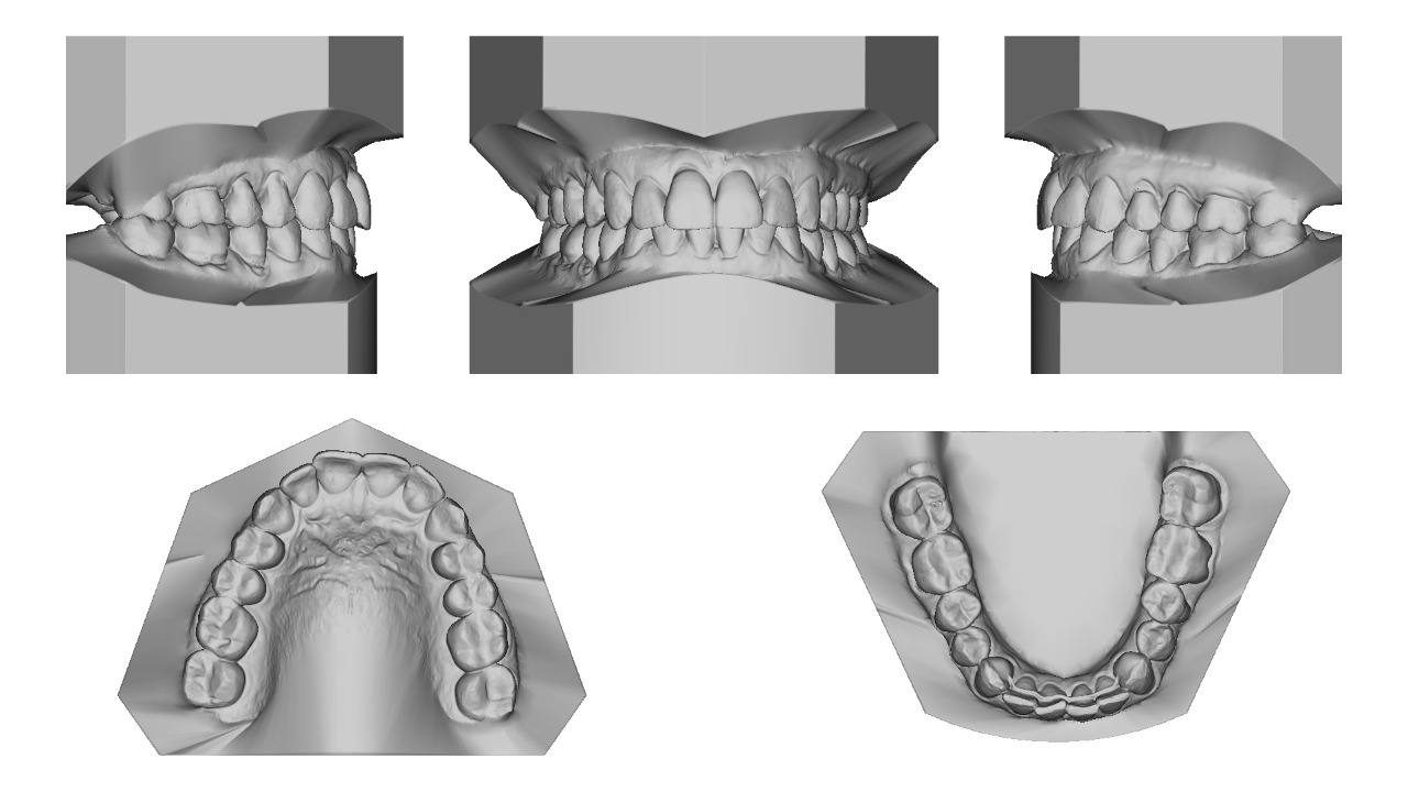 DOCUMENTAÇÃO ORTODONTICA